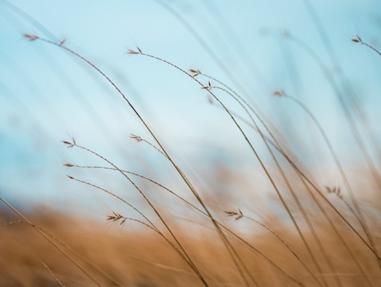 nature-close-up.jpg